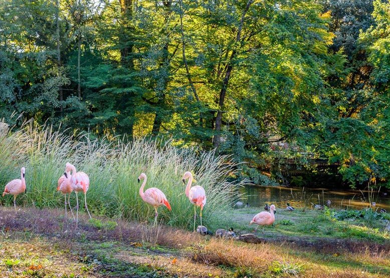 Jardin Botanique De Tours, Tours, France